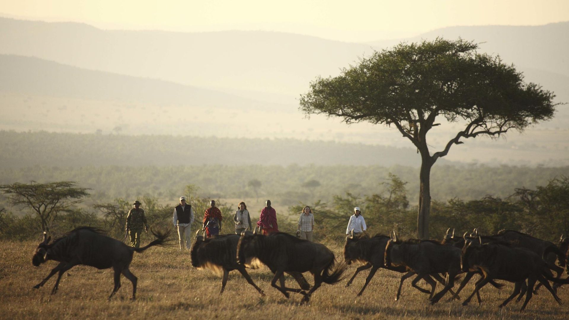 Kicheche Valley Camp Naboisho » Kenia » Matoke Tours